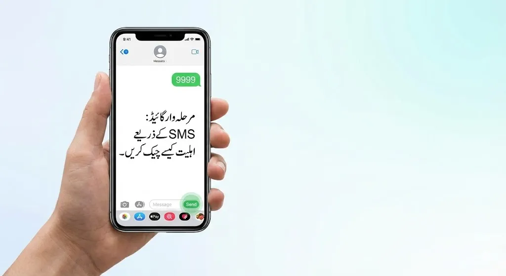 وزیراعظم شہباز شریف رمضان ریلیف پیکج 2026 - 13000 روپے کیش آن لائن چیک