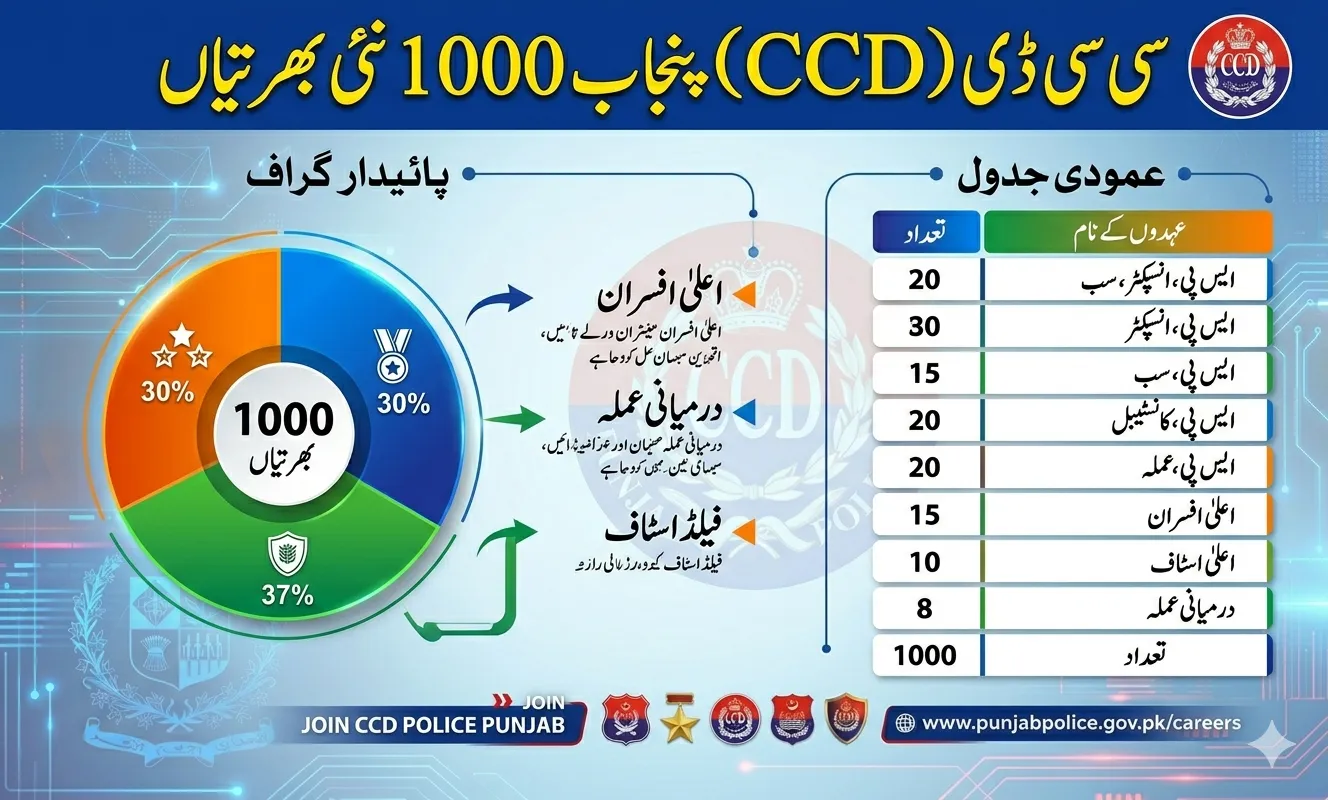 Detailed informational infographic showing the recruitment breakdown of 1000 new jobs in CCD Punjab with general Urdu labels and counts