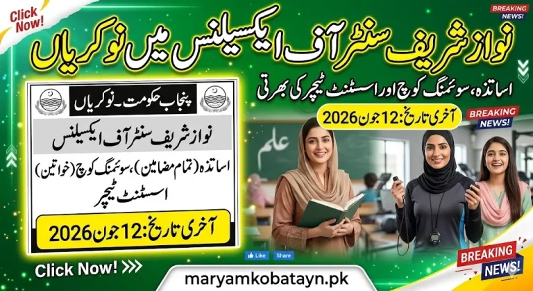 Teaching Jobs in Nawaz Shareef Center of Excellence 2026
