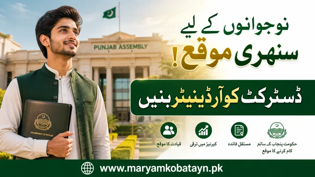 Apply for District Coordinator of Punjab Government