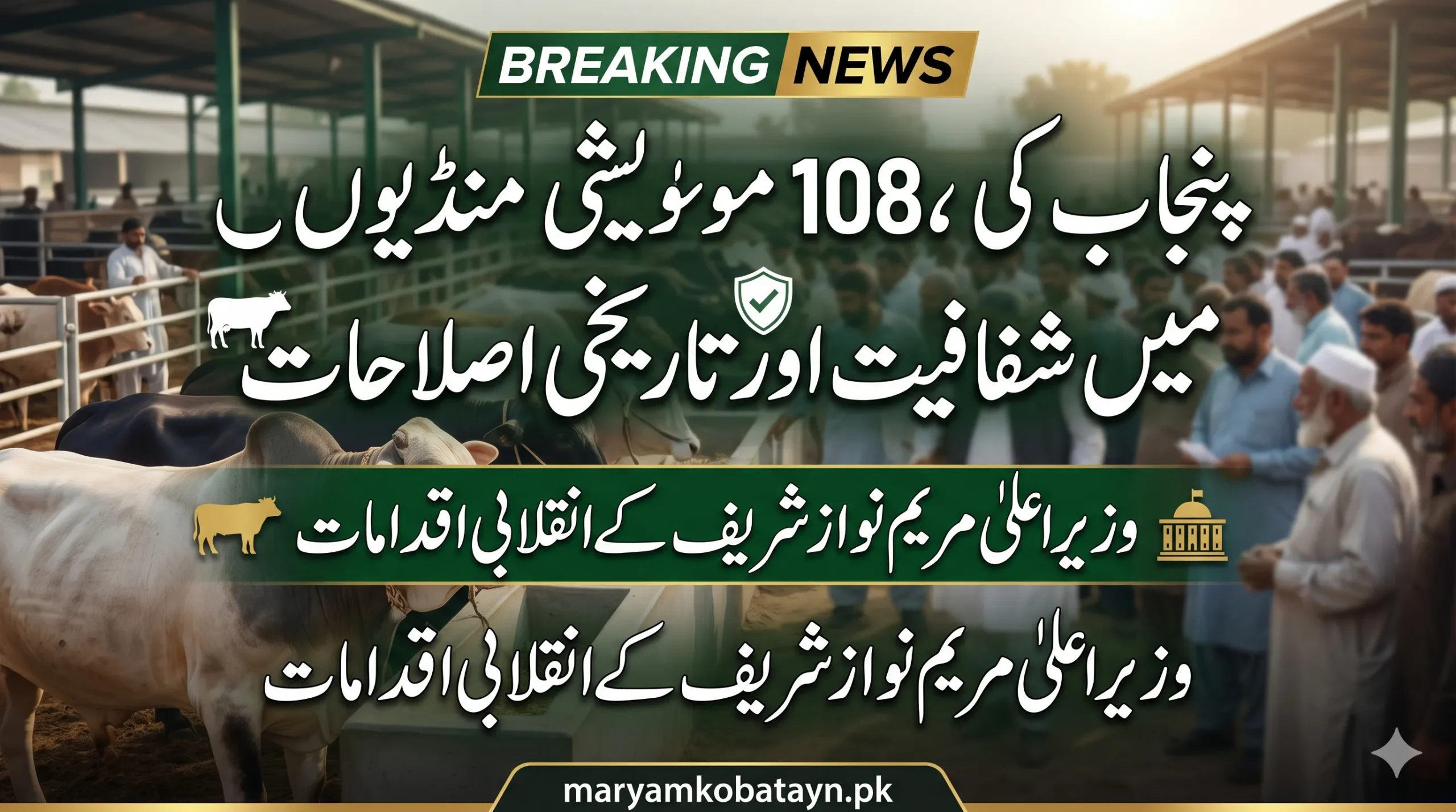 CM Pu jab Maryam Nawaz announce reforms for maweshi mandi